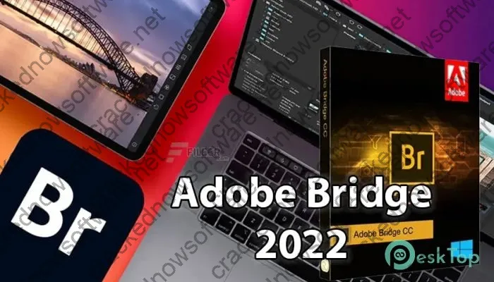 Adobe Bridge 2024 Serial key