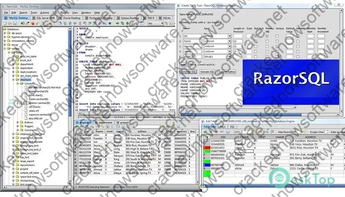 Richardson Software Razorsql Keygen