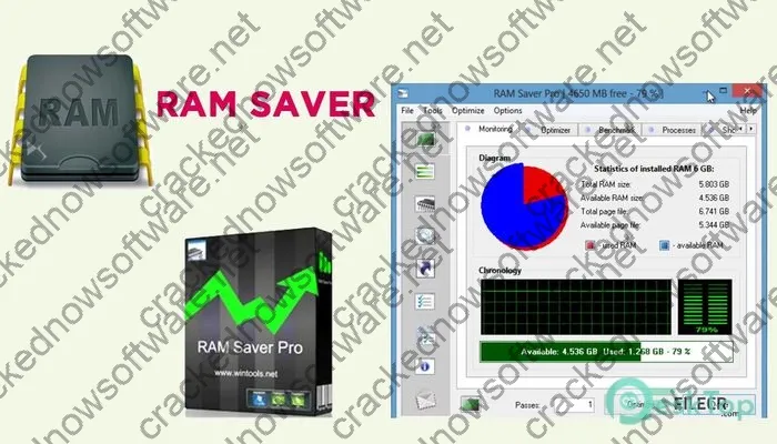 Ram Saver Professional Activation key