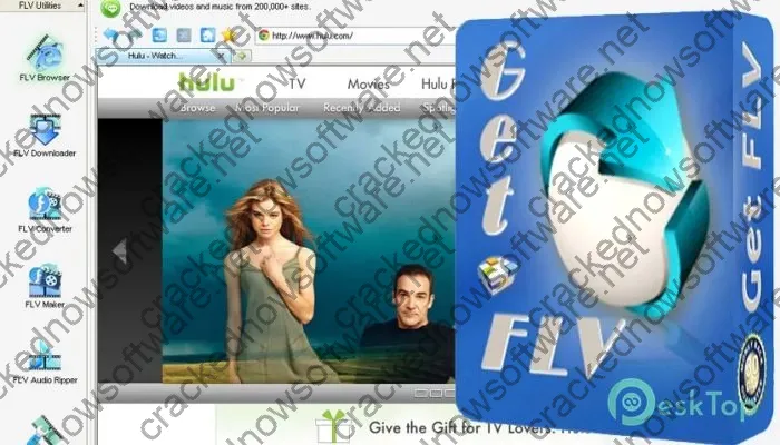 Vdigger Getflv Activation key 31.2404.18 Free Download